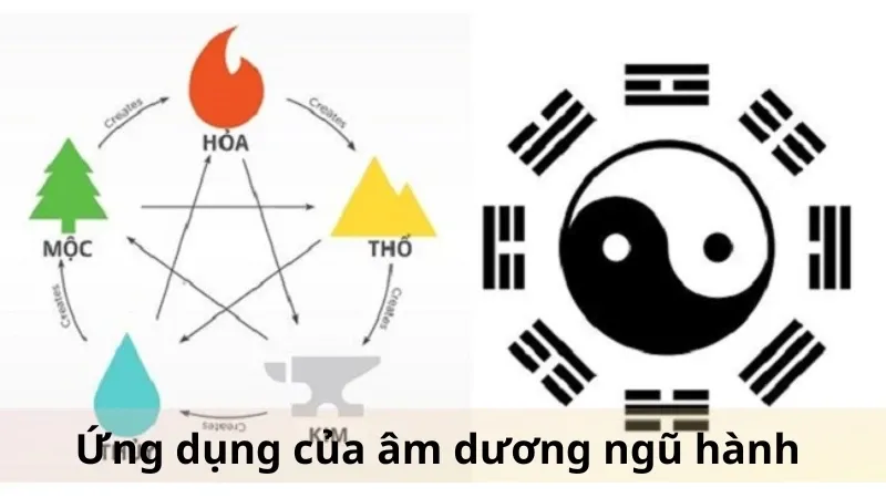 Âm dương ngũ hành 04