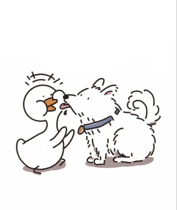 Avatar hình con vịt cute thu hút người xem với sự ngộ nghĩnh