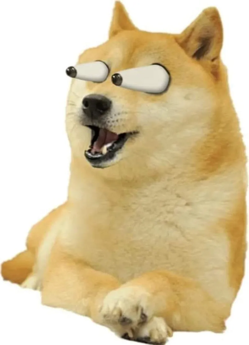 Cheems meme ảnh chó hài lan tỏa tiếng cười nhờ biểu cảm độc đáo và sáng tạo.