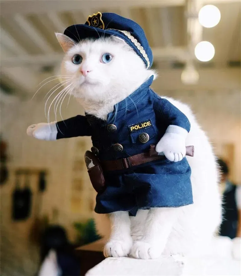 Niềm vui mừng được thể hiện rõ nét qua ảnh meme công an độc đáo này.