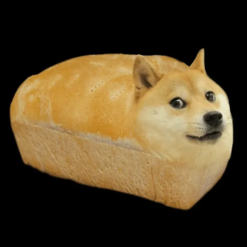 Meme dog funny với loạt hình ảnh 