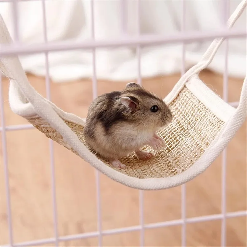 Meme chuột hamster chế đầy sáng tạo, chắc chắn sẽ làm bạn ngạc nhiên.