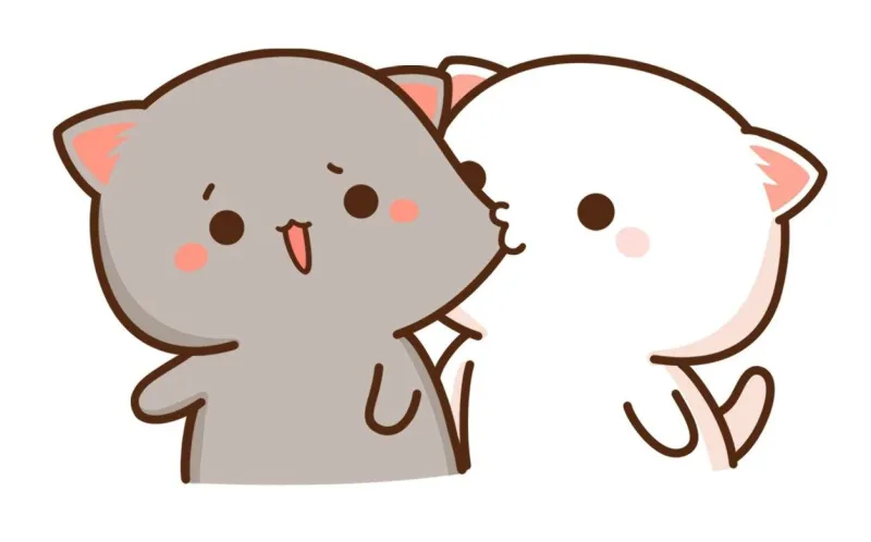 Meme đơn ly hôn hài hước nhưng lại chạm đúng vào những cảm xúc chân thực.