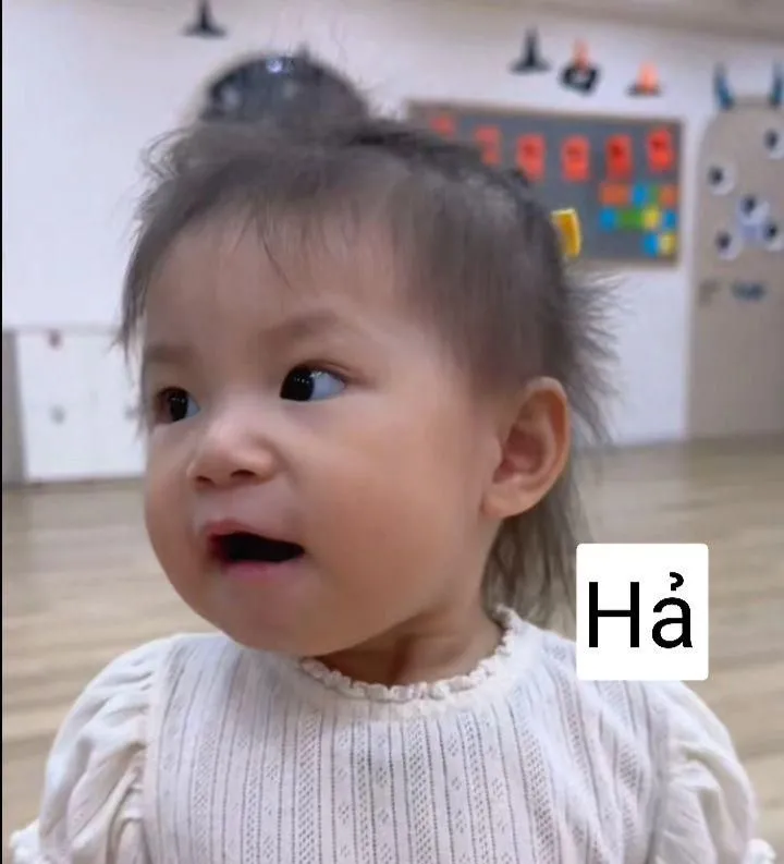Meme tôi khá bất ngờ đấy là lựa chọn thú vị để thêm phần vui nhộn