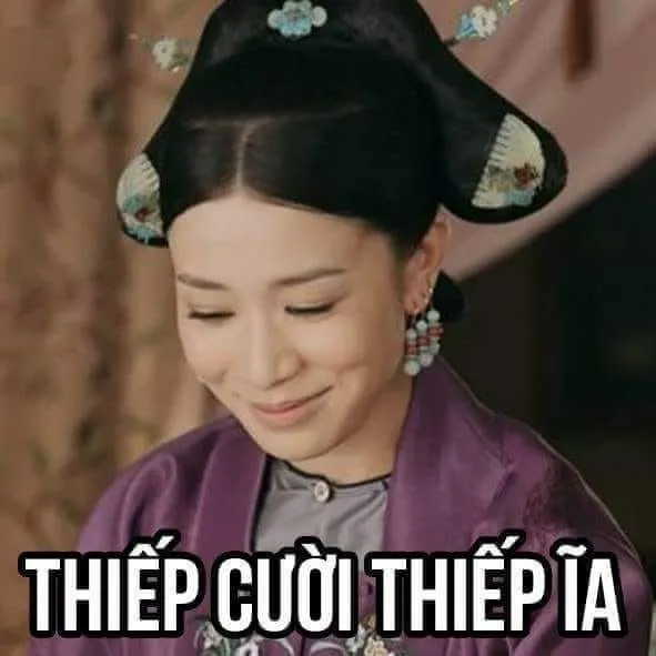 Meme chó bựa với biểu cảm ngộ nghĩnh làm sáng bừng ngày của bạn
