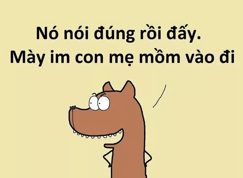 Meme gấu trúc chửi siêu hài, hình ảnh dễ thương, lời chửi 