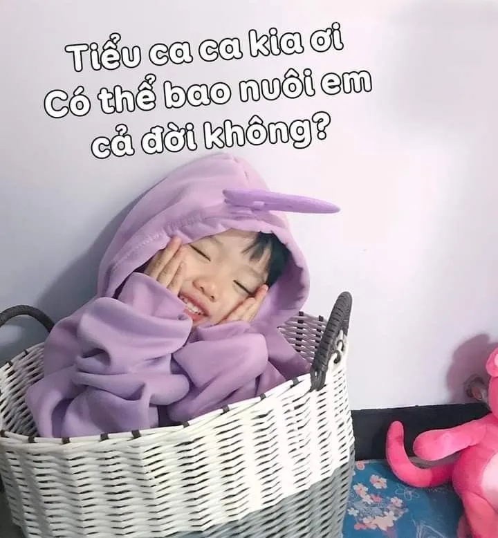 Tình yêu ảnh meme em bé có chữ là món quà đáng yêu đầy sáng tạo.
