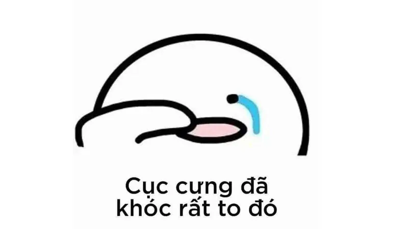 Ảnh meme hài mèo chắc chắn sẽ khiến bạn không thể ngừng cười với những tình huống ngọt ngào.