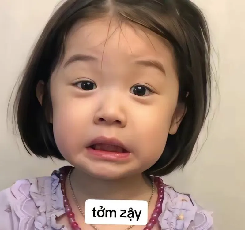 Meme mèo hài luôn thu hút sự chú ý với những biểu cảm đáng yêu và ngộ nghĩnh.