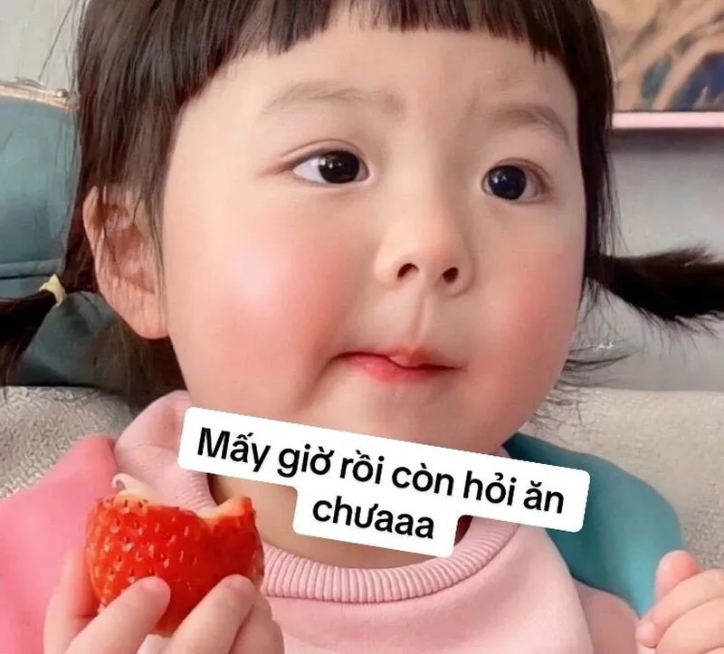 Hình nền meme hài giúp bạn thêm phần sôi động và vui tươi mỗi ngày.
