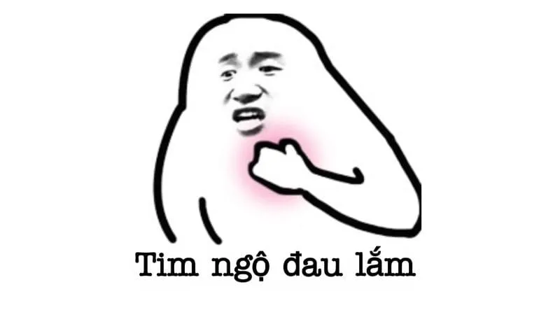 Meme gấu hài hước sẽ mang đến cho bạn những khoảnh khắc cực kỳ thú vị và hài hước.