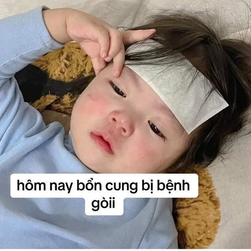 Những ảnh meme hài cute sẽ làm tan chảy trái tim bạn ngay từ lần nhìn đầu tiên.