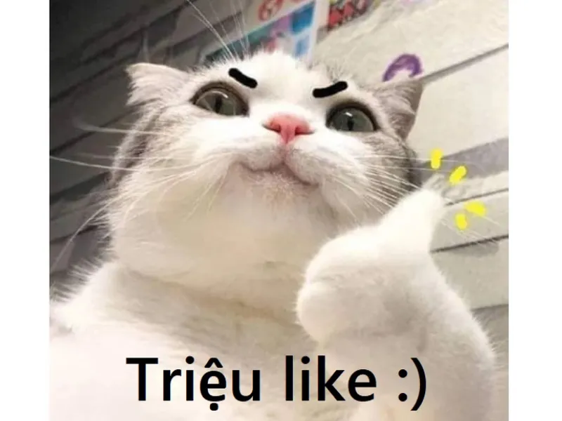Meme avatar hài giúp bạn nổi bật trên mạng xã hội với những hình ảnh hài hước.