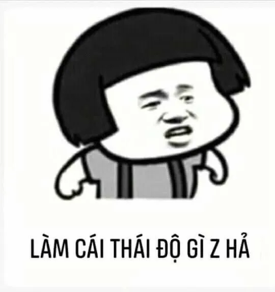 Ảnh meme chó bựa là sự kết hợp giữa dễ thương và lầy lội khó cưỡng