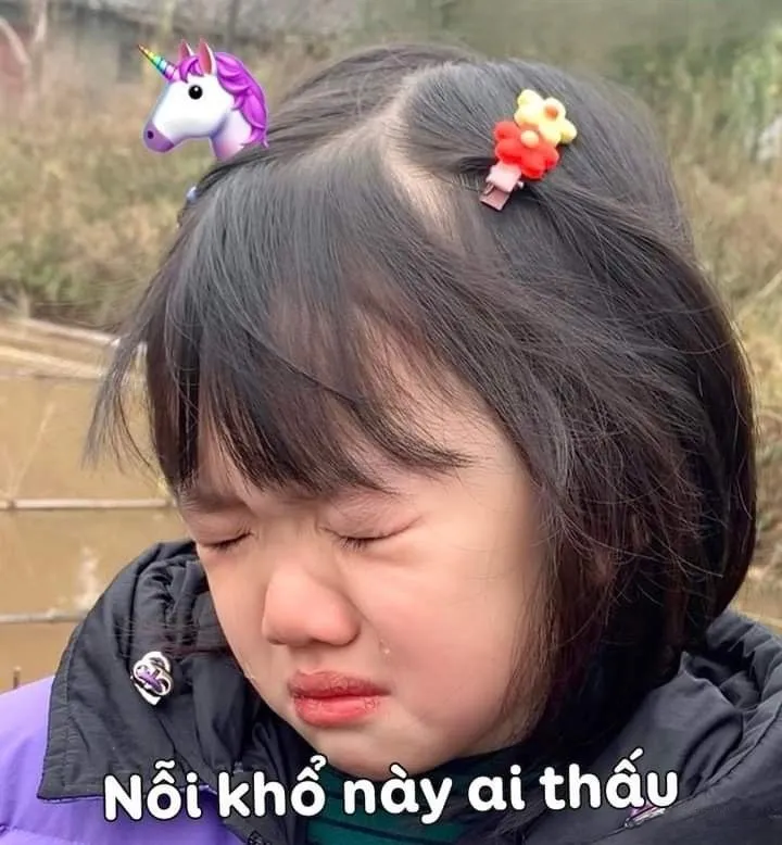 Meme khóc cute khiến mọi người bật cười với sự đáng yêu khó cưỡng.