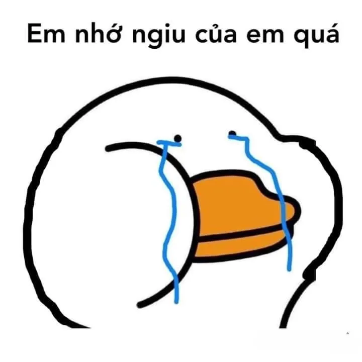 Meme ếch khóc mang đến sự hài hước nhẹ nhàng nhưng không kém phần độc đáo.