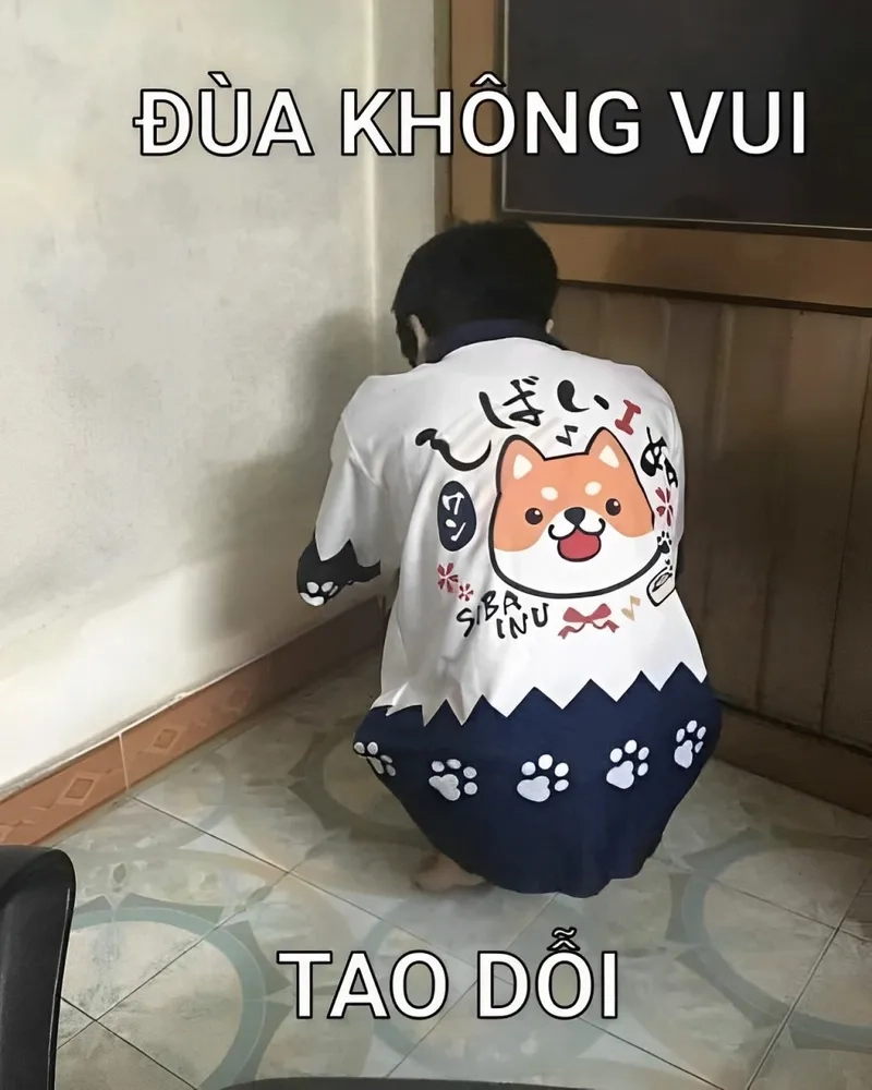 Hình ảnh vô tri meme siêu hài hước, khiến bạn bật cười mỗi lần nhìn thấy.