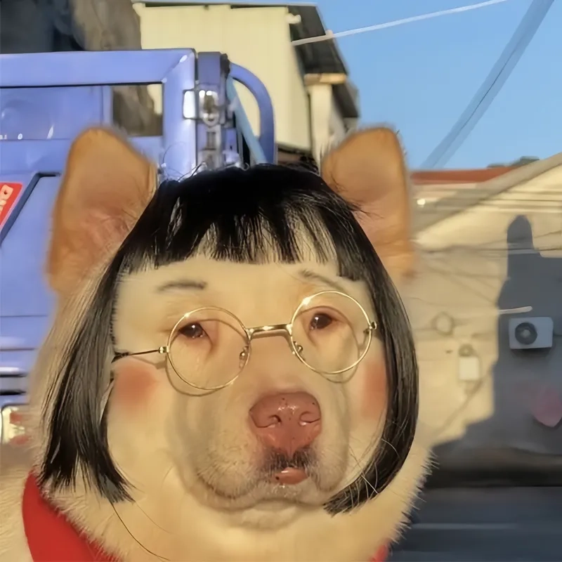 Meme mèo cute dễ thương sẽ khiến bạn không thể nhịn cười.