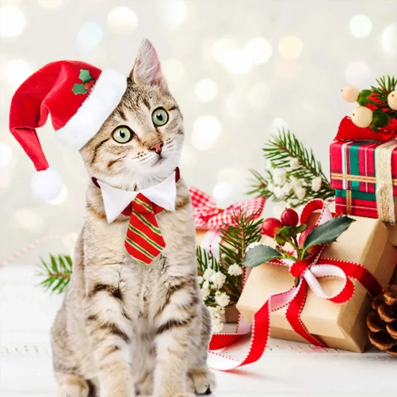 Tự làm meme Noel tại nhà, tạo không khí lễ hội cho riêng bạn!