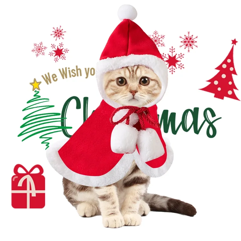 Meme mèo đội mũ Noel sẽ khiến bạn không thể nhịn cười!