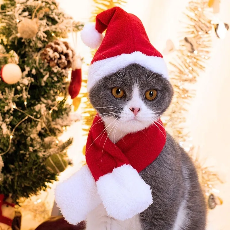 Avatar meme Noel thể hiện không khí vui tươi của mùa lễ hội.