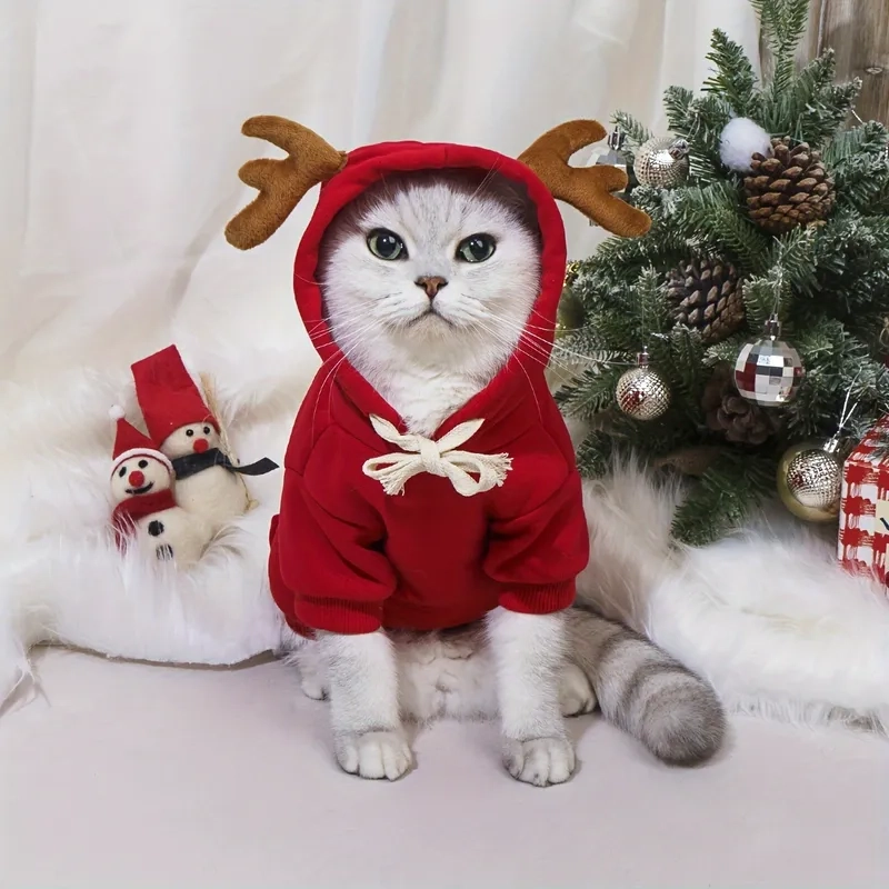 Avatar meme Noel giúp bạn làm mới trang cá nhân trong mùa Giáng Sinh.
