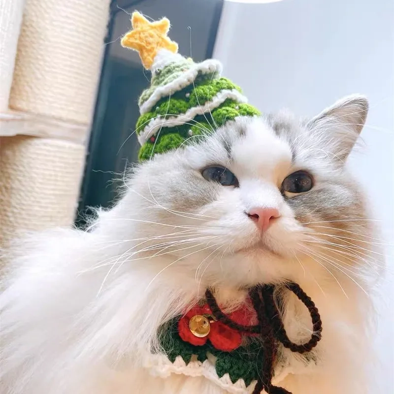Meme Papa Noel mang đến không khí Giáng Sinh cực kỳ vui nhộn và hài hước.