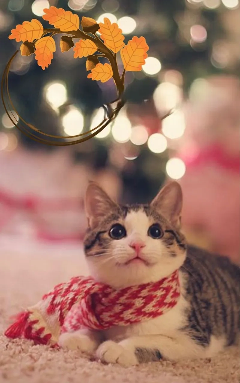 Meme Noel drole sẽ khiến bạn cười không ngừng trong mùa Giáng Sinh đầy vui vẻ này.