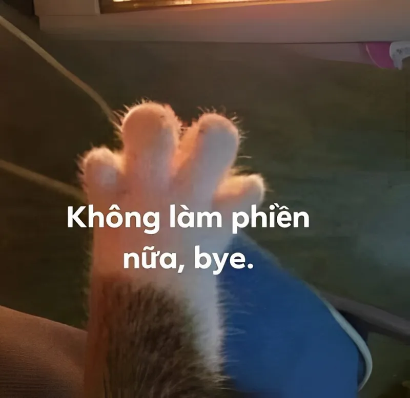 Chia tay mà vẫn cười tươi với những hình tạm biệt meme đáng yêu không thể bỏ qua.