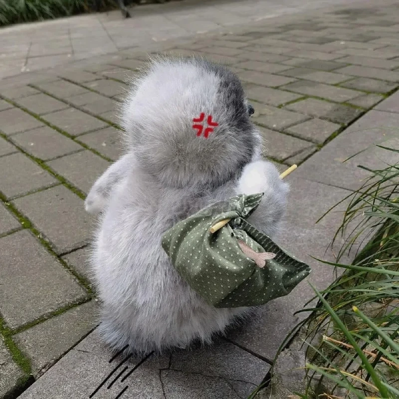 Con chim cánh cụt con mang lại cảm giác gần gũi và dễ thương