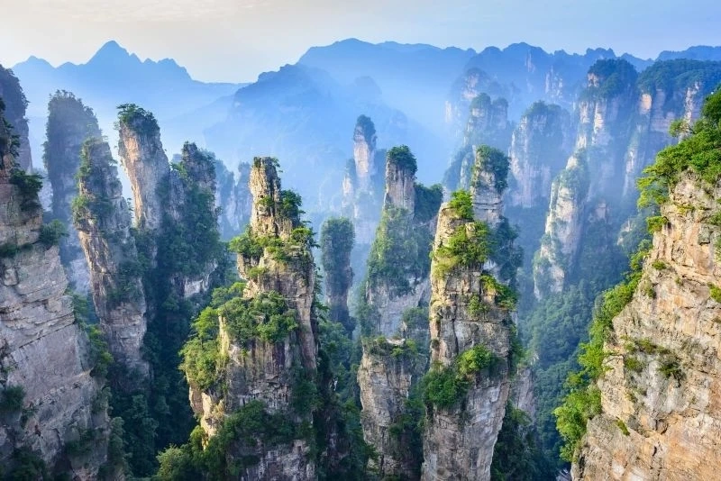 Ảnh nền hoa chill thu hút ánh nhìn với vẻ đẹp thanh tao, nhẹ nhàng