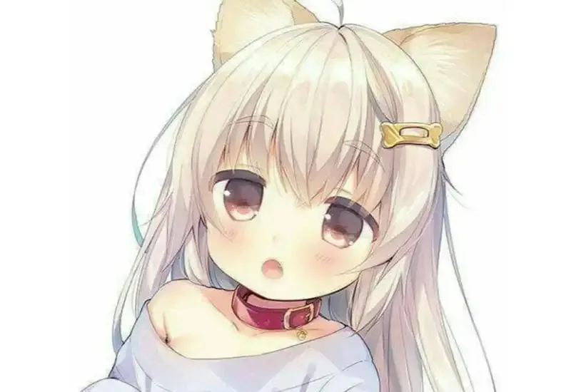 Trang cá nhân của bạn sẽ nổi bật hơn với những avatar cute Zalo xịn sò