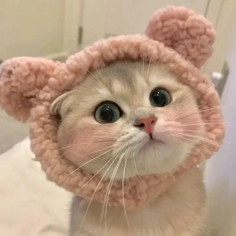 Avatar cute động vật mang lại cảm giác đáng yêu và gần gũi