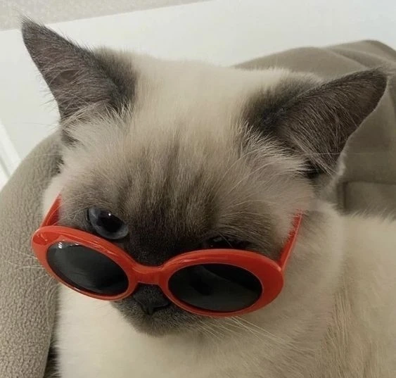 Avatar cute Blackpink mang đến sự dễ thương, ngọt ngào