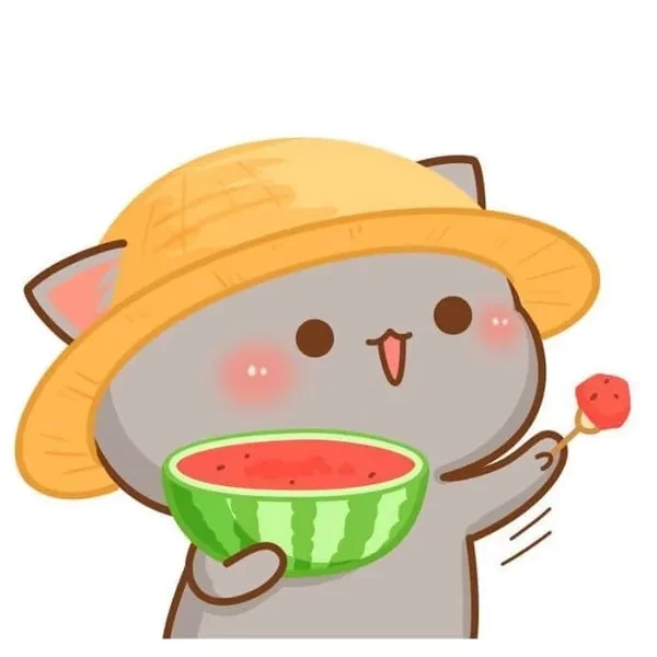 Hình meme hài thu hút qua biểu cảm độc đáo và thú vị
