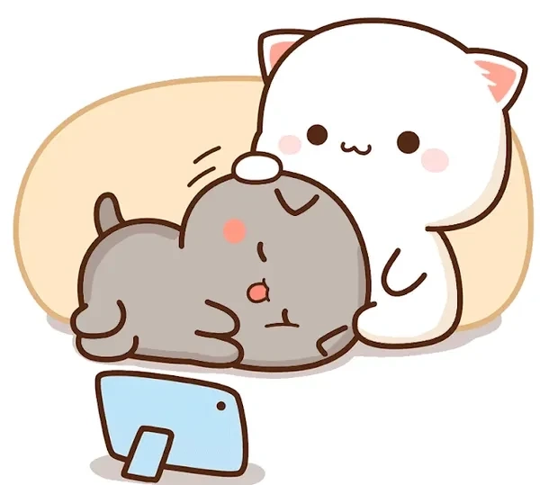 Meme avatar ảnh mèo cute gây ấn tượng bởi nét dễ thương hài hước