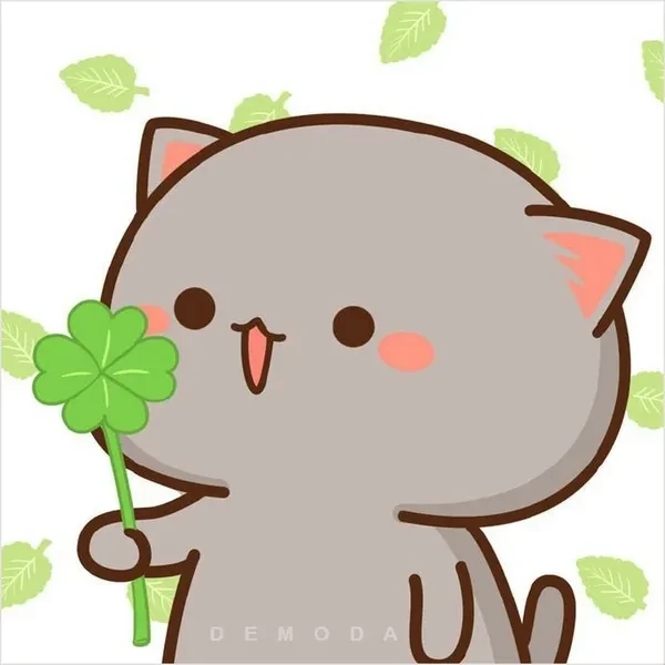 Meme avatar mèo ngáo mang biểu cảm hài hước và thú vị tự nhiên