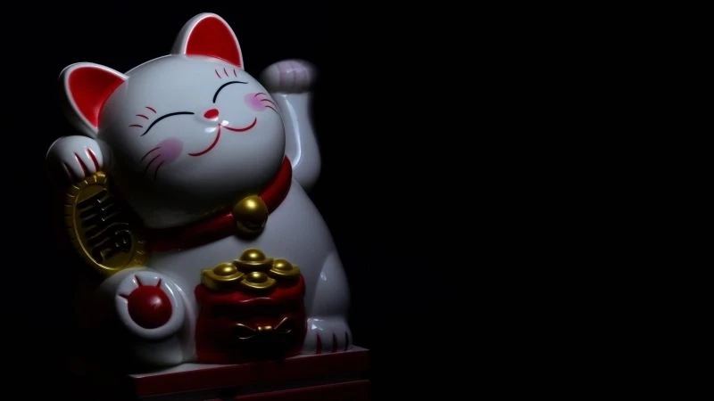 Avatar mèo cute ngầu kết hợp giữa sự dễ thương và cá tính
