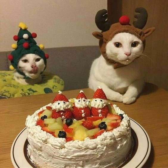 Hình nền cute giáng sinh làm nổi bật không khí ấm cúng ngày lễ