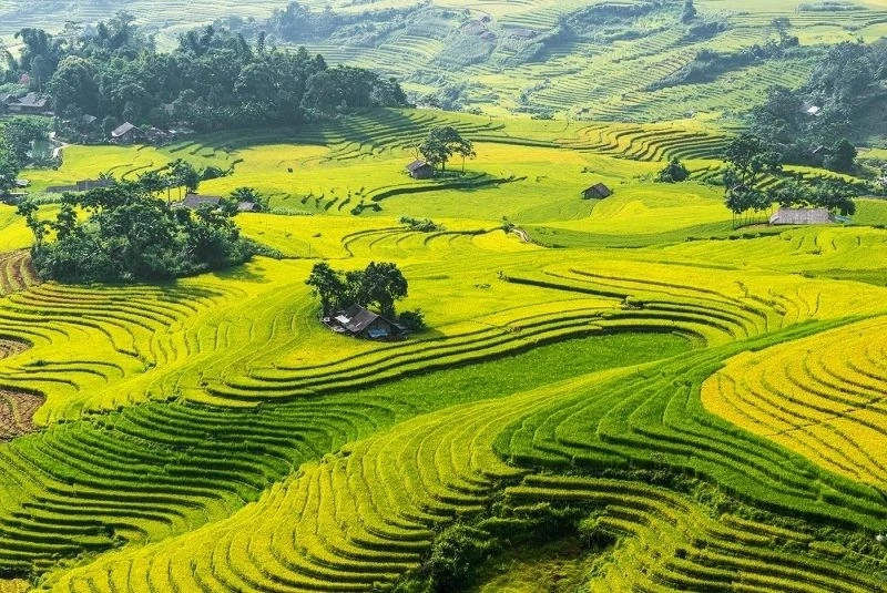 Hình nền phong cảnh biển đẹp mang lại không khí thư giãn và mát mẻ