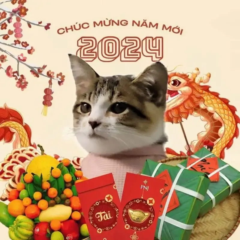 Khoe cá tính dịp xuân với avatar Tết meme cực bá đạo