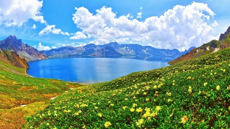 Ảnh avatar đẹp về thiên nhiên giúp bày tỏ tình yêu với cảnh sắc thiên nhiên