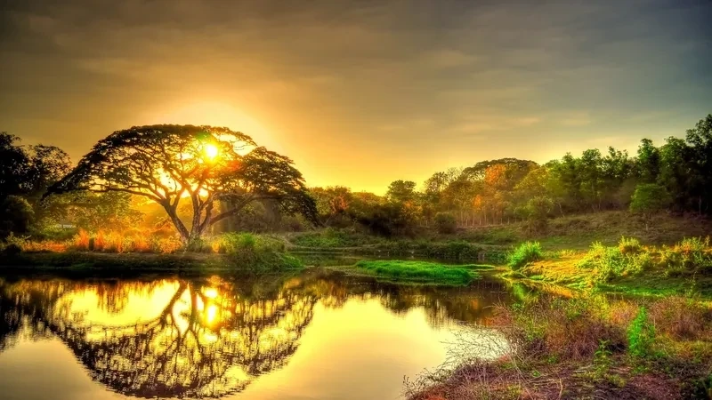 Ảnh thiên nhiên buồn 4K mang lại không gian trầm lặng và yên bình