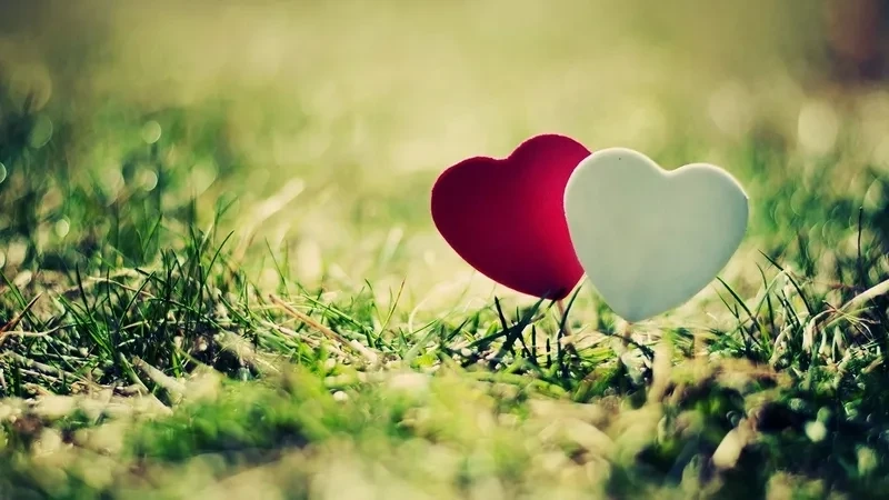 Hình ảnh trái tim tan vỡ thể hiện những nỗi đau trong tình yêu