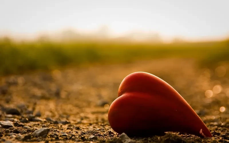 Hình ảnh đẹp về trái tim tan vỡ thể hiện nỗi đau nhẹ nhàng nhưng sâu lắng