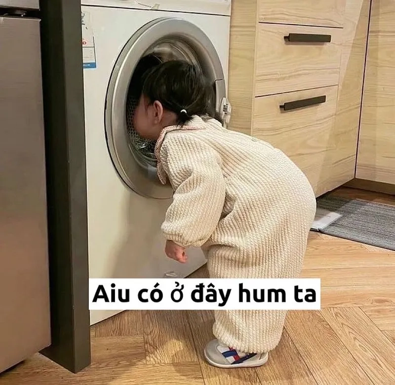 Chia sẻ ngay hình ảnh meme mèo vô tri để lan tỏa niềm vui đến mọi người.