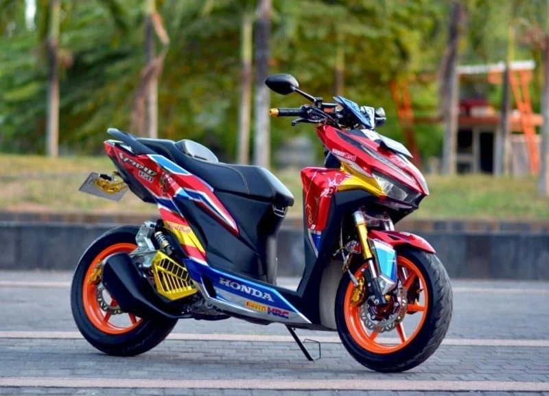 Sirius đỏ trắng kiểng mang vẻ ngoài hài hòa và thu hút ánh nhìn