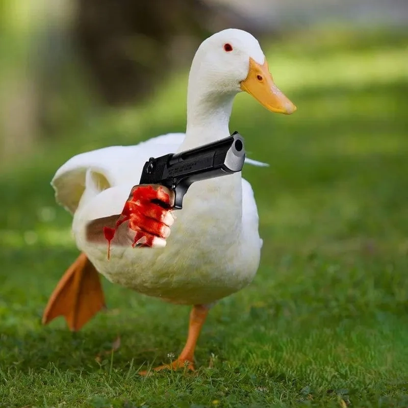 Meme bắn súng mang đến những pha hành động hài hước, tạo nên sự khác biệt cho ngày của bạn.