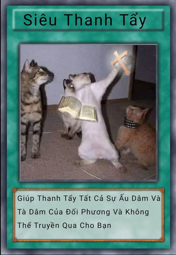 Khám phá bộ bài meme 200 lá độc đáo, mang đến những tràng cười bất tận