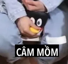 Biểu cảm lịch sự nhưng hài hước trong meme tại hạ cáo từ làm ai cũng phì cười
